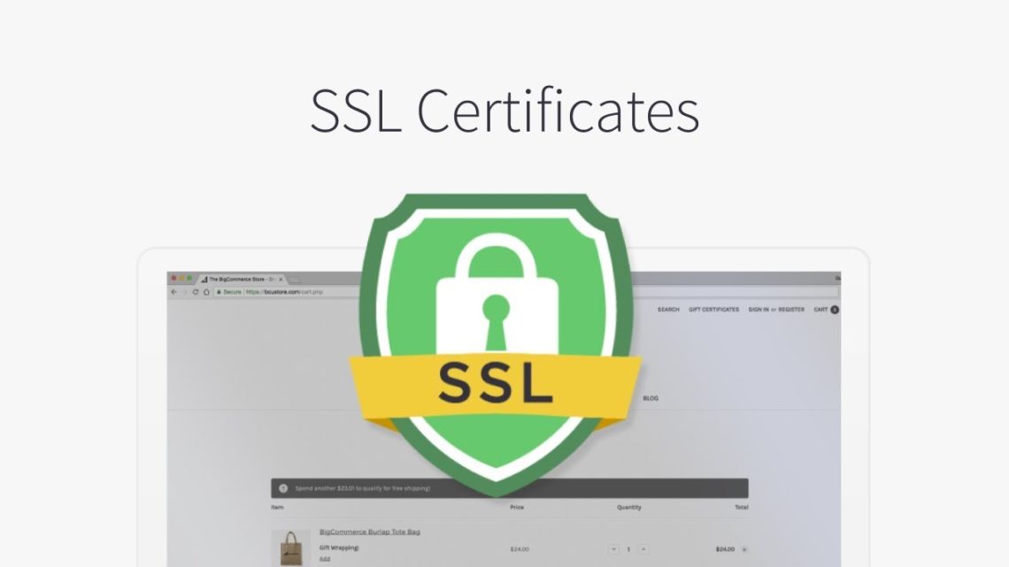 SSL Certificates for SEO
